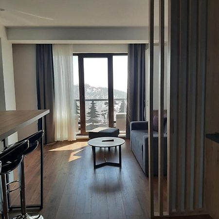Apartmán Vihor A21 Kopaonik Exteriér fotografie